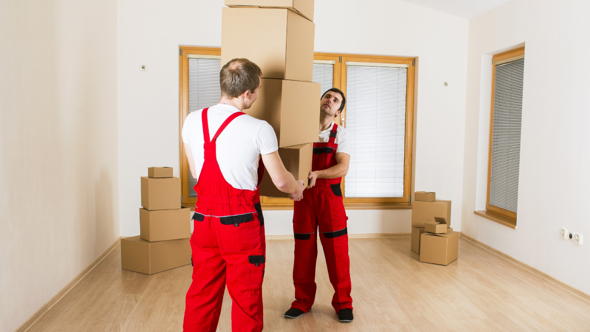 Expert Movers and Packers NJ: Your Relocation Solution